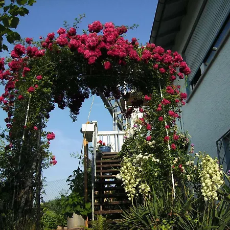 Ferienhaus Haus Sonneneck *